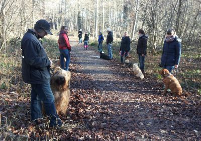 Übungsspaziergang Spaziergang Everest und Lia