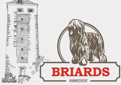 Logo Briards vom Schurkenturm