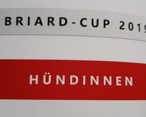 Briard - CUP 2019